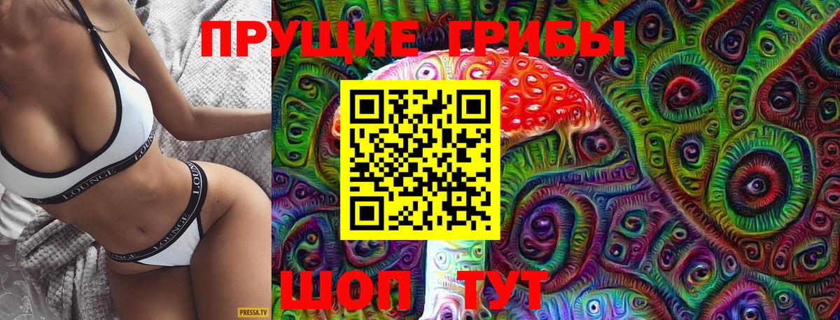 Псилоцибиновые грибы Psilocybine cubensis Карталы